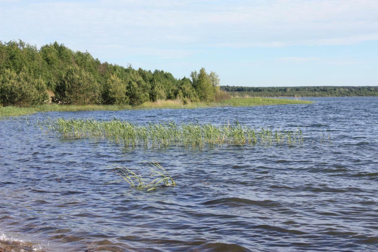 Ferienwohnungen Heideblick Grafenhainichen Luaran gambar